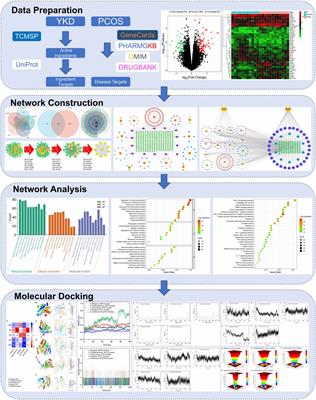 Exploring the therapeutic mechanisms of Yikang decoction in polycystic ovary syndrome: an integration of GEO datasets, network pharmacology, and molecular dynamics simulations